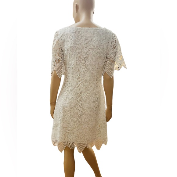 Anthropologie Charleston Lace Mini Dress Size 6 with Lining 100% Polyester - Picture 5 of 12
